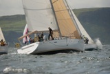 golden fox 4770r whyw22 thur 750_4421yi